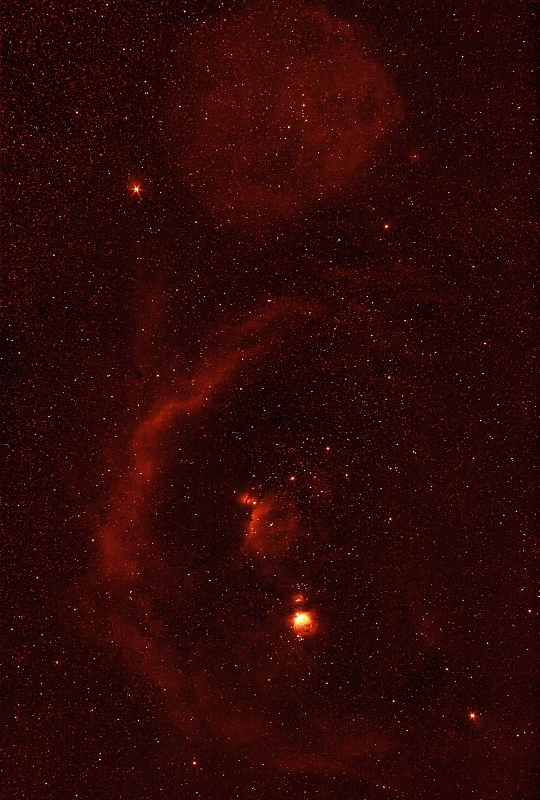 Orion